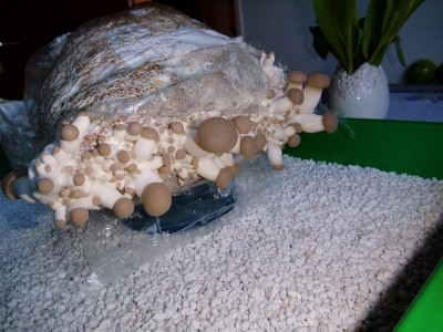 03.04..jpg (408.58 KiB) 22609 mal betrachtet 03.04.