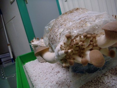 05.04-2.jpg (383.42 KiB) 22609 mal betrachtet 05.04.