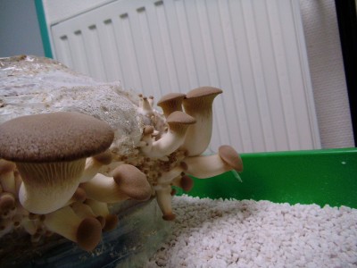 05.04..jpg (336.79 KiB) 22609 mal betrachtet 05.04.