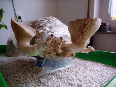 08.04..jpg (373.78 KiB) 22609 mal betrachtet 08.04.