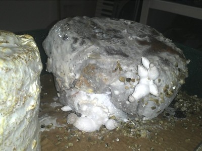 KsaufKaffee1.jpg (114.53 KiB) 22589 mal betrachtet KS auf Kaffeesatz mit Filtern ohne Zuschläge !