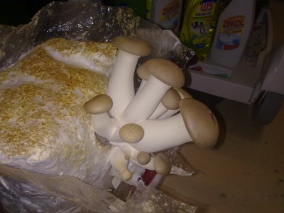 21052010133.jpg