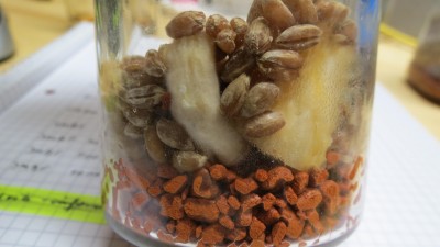 IMG_9720.JPG