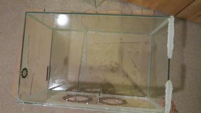 IMG_9734.JPG