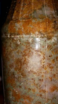 20150313_010738.jpg (396.86 KiB) 13731 mal betrachtet zwischen denm Grünschimmel, den Bakterien,.. scheint noch Mycel zu sein. Ob man den zum Fruchten bringen kann und der dann ungiftig ist?^^