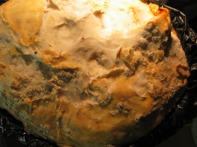 IMG_7085.JPG (459.12 KiB) 24384 mal betrachtet Primordien von oben