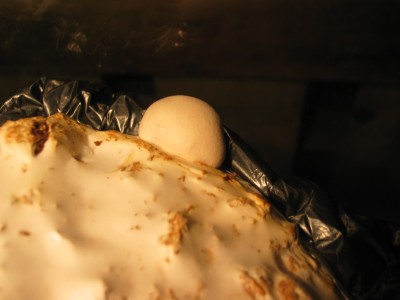 IMG_7142.JPG (291.5 KiB) 24351 mal betrachtet Kräuterseitling dicke Primordie