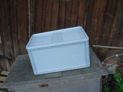 IMG_7286.JPG (182.29 KiB) 24285 mal betrachtet Plastikbox als Fruchtungsraum