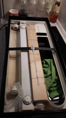 20170202_191925.jpg