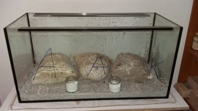 20170202_192132.jpg