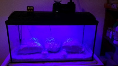 20170202_193000.jpg