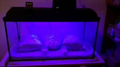 20170202_193012.jpg