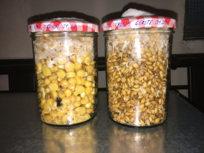 3. Waschmittelgläser Tag 4