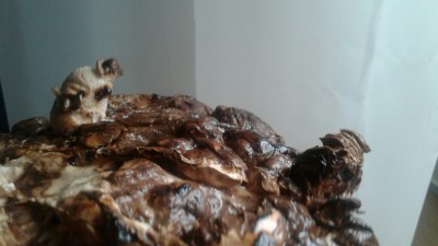20170322_095656-2534x1425.jpg