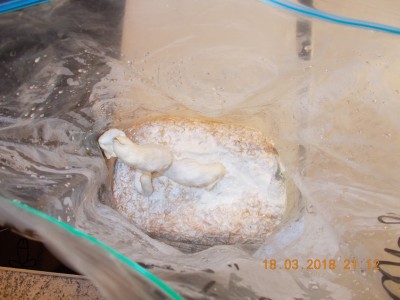 DSCN3765.JPG