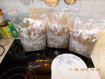 DSCN3949.JPG