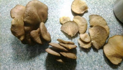 20181230_172738.jpg
