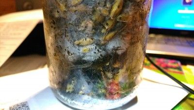 20190208_191733.jpg