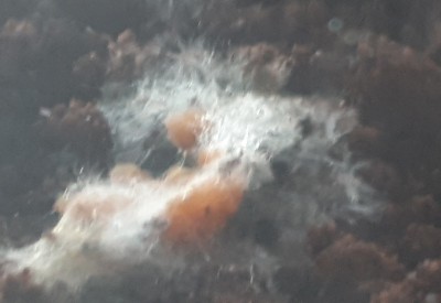 20190415_192352~2.jpg