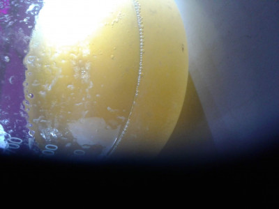 20190613_194745.jpg (56.69 KiB) 20611 mal betrachtet Milchige flüssigkeit