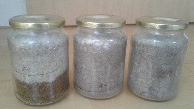 20210218_084017.jpg (929.89 KiB) 13232 mal betrachtet vlnr. Glas 7,11,10