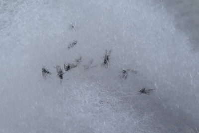 IMG_20210307_154317.jpg (65.64 KiB) 22457 mal betrachtet IMG_20210307_154317.jpg