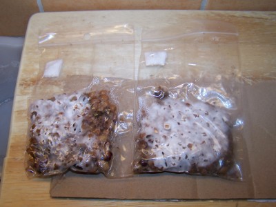 100_9001.JPG
