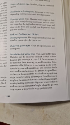 Cotter1.jpg