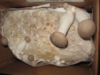 Bild 006.jpg