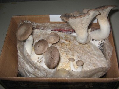 Bild 012.jpg