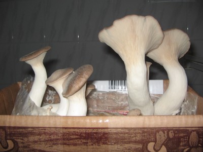 Bild 013.jpg